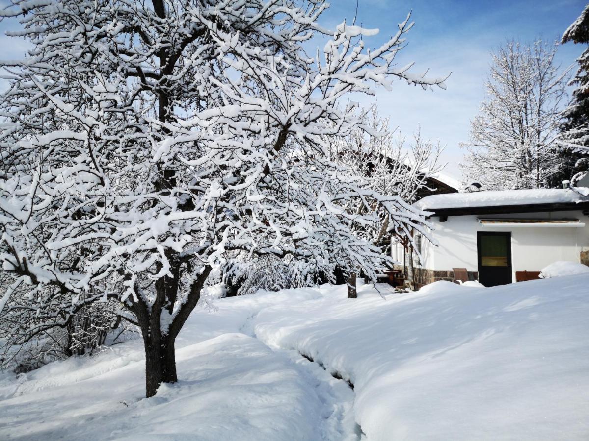 Appartchalet La Rondula Aparthotel Urtijëi Buitenkant foto